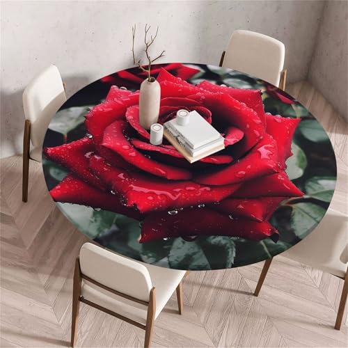 Treer Bunter Rosendruck Tischdecke Outdoor Rund, Lotuseffekt Tischdecke Abwaschbar Elastisch Rund Gartentischdecke, für Garten, Küche, Esstisch, Parteien Tischdecken (Rose,120cm) von Treer