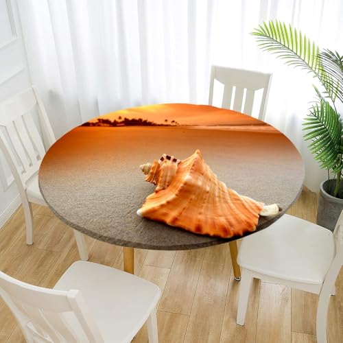 Treer Elastische Tischdecke Rund Abwaschbar, 3D Outdoor Picknick Spanntischdecke Rund Gartentischdecke Round Tischdecke mit Gummizug für Dekoration Küche Picknick (Muschel,70cm) von Treer