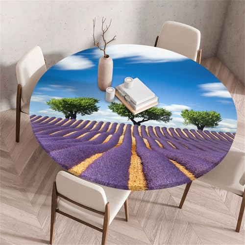 Treer Rund Tischdecke Abwaschbar, Französischer Lavendel Lotuseffekt Tischdecken, Outdoor Tischdecke, Elastisch Rund Gartentischdecke für Garten, Küche, Esstisch, Parteien (Lila 5,70cm) von Treer
