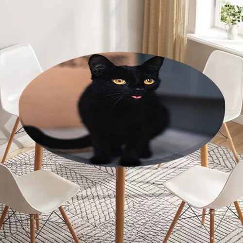 Treer Tischdecke Outdoor Rund, 3D Wildes Tier Lotuseffekt Tischdecke Abwaschbar Elastisch Rund Gartentischdecke für Garten, Esstisch, Küche, Parteien Tischdecken (Katze,80cm) von Treer
