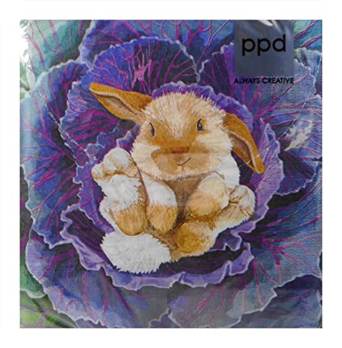 20 Servietten Hase Hasenbaby im Kohlkopf Ostern Napkins 33 cm Serviettentechnik Deko GS 456 20 Servietten Hase Hasenbaby im Kohlkopf Ostern Napkins 33 cm Serviettentechnik Deko GS 456 von Trends & Trade