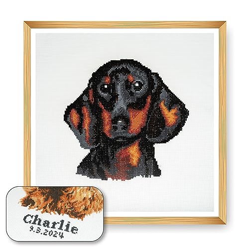 Trimits Kreuzstich-Set Hund – personalisierte Stickerei für Erwachsene und Anfänger, Wanddekoration, Tierliebhaber, Hundebesitzer,36x36cm,Rahmen nicht im Lieferumfang enthalten, Dackel von Trimits