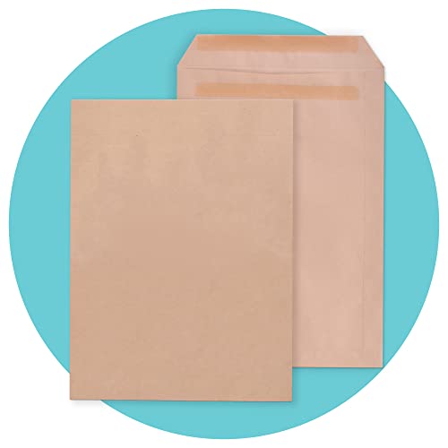 Triplast 20 x C5 selbstklebende Sicherheitsumschläge (Größe: 229 x 164 mm) | vollständig blickdicht, selbstdichtend und druckersichere Versandtaschen | ideal für den täglichen Gebrauch zu Hause, im Büro und im gewerblichen Gebrauch von Triplast