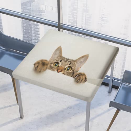 Quadratische Tischdecke mit niedlichem, kleinem, elastischem Rand, wasserdicht, Polyester, für drinnen und draußen, Party, Terrasse, 86,4 x 86,4 cm Quadratische Tischdecke mit niedlichem, kleinem, elastischem Rand, wasserdicht, Polyester, für drinnen und draußen, Party, Terrasse, 86,4 x 86,4 cm von TropicalLife