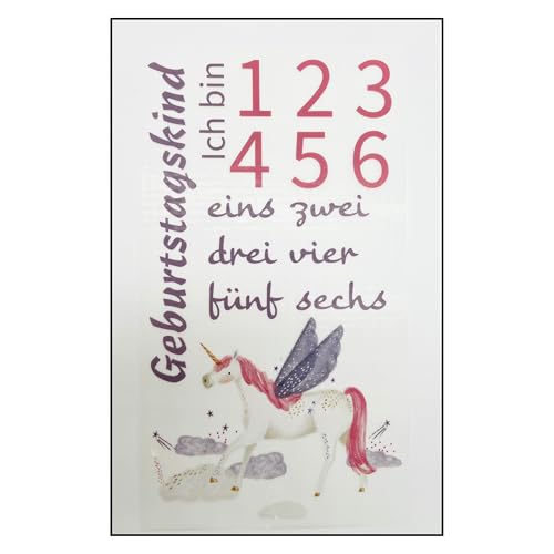 Bügelbilder Set für Textilien Geburtstagskind mit Zahlen Motive zum selber gestalten Regenbogen Kinder Mädchen Jungen Dino Drache groß klein Aufbügelbild aufbügeln (10 - Einhorn mit Flügeln) von TryPinky