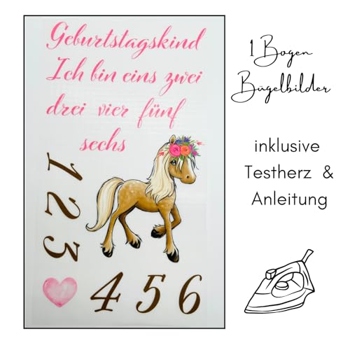 Bügelbilder Set für Textilien Geburtstagskind mit Zahlen Motive zum selber gestalten Regenbogen Kinder Mädchen Jungen Dino Drache groß klein Aufbügelbild aufbügeln (8 - Pferd) von TryPinky
