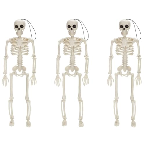 TsoLay 3Stück 40 cm Bewegliche Voll Menschliches Skelett Prop Halloween Party Dekoration Haunted House Requisiten Friedhof Dekor 1 STÜCKE A von TsoLay