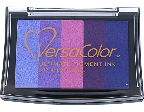 Tsukineko VersaColor Mehrfarbig Stempelkissen - Mehrere Farben, Wild Berries 5 Varianten - Groß - Deckend, Wassbasis - Wasserfest - Embossing von Tsukineko