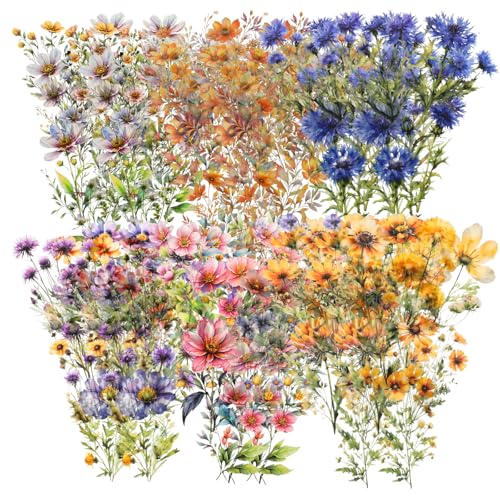 Tucnoeu 120 Stück Sticker Blumen, Aufkleber Blumen, Wiederverwendbare Sticker, PET Blumenaufkleber für Scrapbooking, Fotoalben, DIY Dekoration Tucnoeu 120 Stück Sticker Blumen, Aufkleber Blumen, Wiederverwendbare Sticker, PET Blumenaufkleber für Scrapbooking, Fotoalben, DIY Dekoration von Tucnoeu