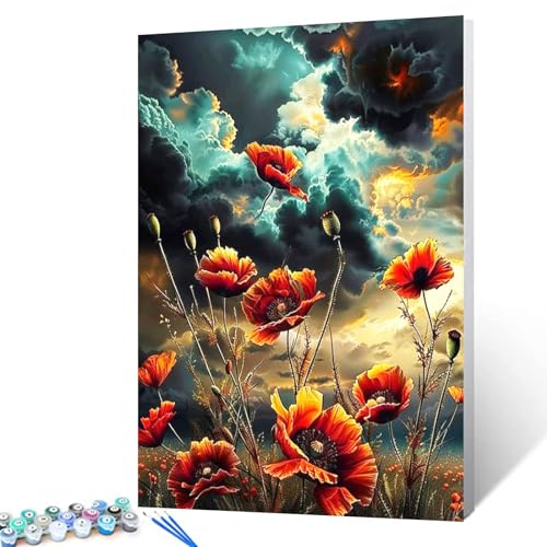 Papaver Malen nach Zahlen für Erwachsene und Anfänger, zum Selbermachen, beeindruckender Himmel, Malen nach Zahlen, Acrylfarbe, Leinwand, Dekoration, Himmel, Malset, ländlicher Stil, 50,8 x 40,6 cm Papaver Malen nach Zahlen für Erwachsene und Anfänger, zum Selbermachen, beeindruckender Himmel, Malen nach Zahlen, Acrylfarbe, Leinwand, Dekoration, Himmel, Malset, ländlicher Stil, 50,8 x 40,6 cm von Tucocoo