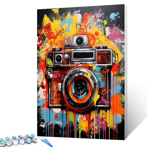 Tucocoo Graffiti-Kamera, Malen nach Zahlen für Erwachsene und Anfänger, einfaches DIY-Ölgemälde-Set auf Leinwand mit Pinseln und Acrylpigment, Banksy-Straßen-Pop-Art-Bild für Heimdekoration von Tucocoo