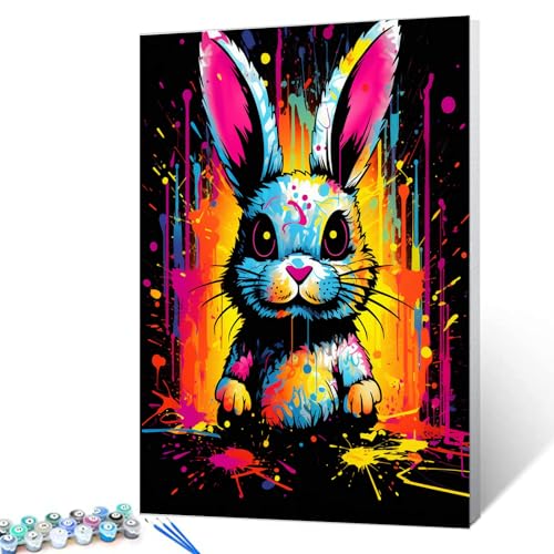 Tucocoo Graffiti-Kaninchen Malen nach Zahlen für Erwachsene, DIY digitales Ölgemälde-Kits auf Leinwand mit Pinseln und Acrylpigment, niedliches Tier, schwarz, buntes Bild für Heimdekoration, 40x50 cm von Tucocoo