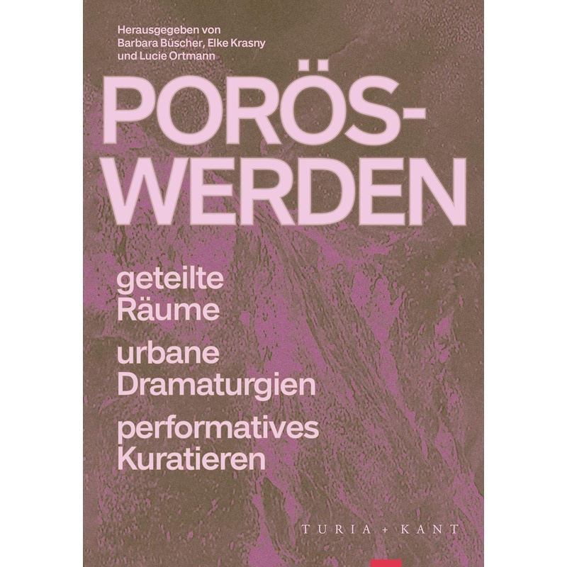 Porös-Werden, Taschenbuch von Turia + Kant, Verlag