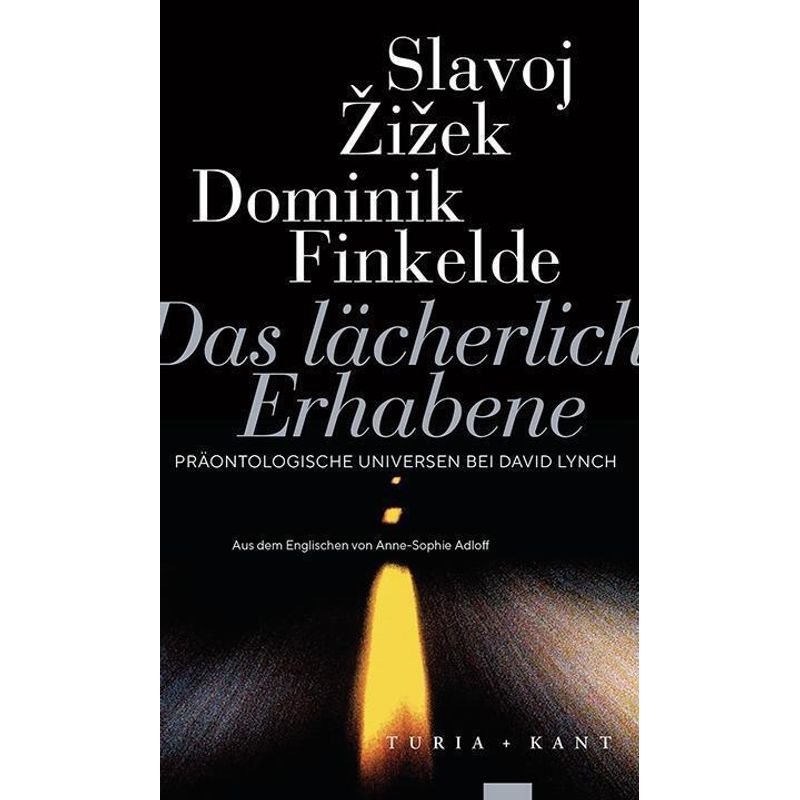 Das Lächerlich Erhabene - Slavoj Zizek, Dominik Finkelde, Gebunden von Turia & Kant