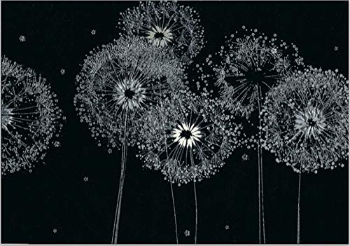 Hochwertige Trauerkarte von Turnowsky mit weißen verwelkten Pusteblumen auf schwarzem Hintergrund. Relief-Klappkarten zum Beschriften mit Umschlag von Turnowsky