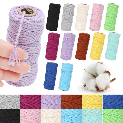 Tutamaz Makramee Garn 12Pcs x 3mm x 30M, Farbe Baumwollkordel 3mm Baumwollseil Baumwollschnur Macrame Garn für DIY Handwerk Basteln Boho Deko Vorhang Türvorhang Traumfänger Hochzeitsdekoration von Tutamaz