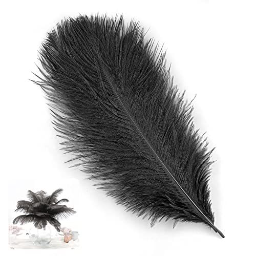 Tuxuzal 10 Stück Natürliche Strauß Feder Deko Künstliche Straußenfeder Schwarz Strauß Federn Bastelfedern für Maskendekoration Hochzeit Party Ornamente, Künstliche Schwarz Federn zum Bastel, 25-30 cm Tuxuzal 10 Stück Natürliche Strauß Feder Deko Künstliche Straußenfeder Schwarz Strauß Federn Bastelfedern für Maskendekoration Hochzeit Party Ornamente, Künstliche Schwarz Federn zum Bastel, 25-30 cm von Tuxuzal
