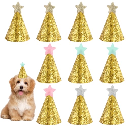 Tweruna 10 Stück Partyhüte, Hütchen Kinder mit Stern, Verstellbare Katzen Geburtstag Deko, Partyhüte für Kuscheltiere für Hunde Geburtstag, Kostüm Zubehör Tweruna 10 Stück Partyhüte, Hütchen Kinder mit Stern, Verstellbare Katzen Geburtstag Deko, Partyhüte für Kuscheltiere für Hunde Geburtstag, Kostüm Zubehör von Tweruna