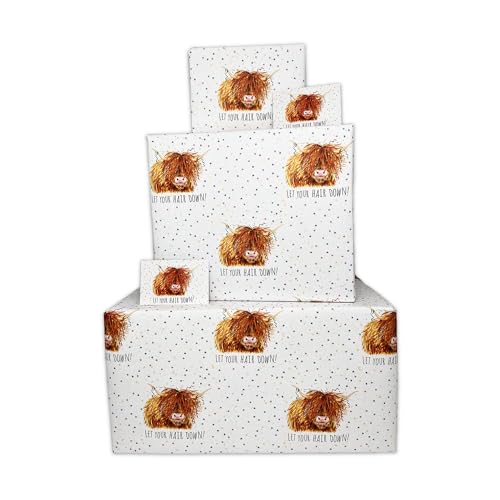 Twizler Geburtstags-Geschenkpapier für Damen – Schottische Hochlandkuh – 4 Bögen & 4 Anhänger – 70 cm x 50 cm gefaltete Bögen – lustiges Geschenkpapier Twizler Geburtstags-Geschenkpapier für Damen – Schottische Hochlandkuh – 4 Bögen & 4 Anhänger – 70 cm x 50 cm gefaltete Bögen – lustiges Geschenkpapier von Twizler