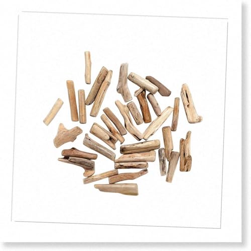 20 Stück natürliche Treibholzstücke Zweigscheiben Bastelstäbe Stranddekoration für Bastelbedarf DIY Bastelstäbe Kunstbedarf 20 Stück natürliche Treibholzstücke Zweigscheiben Bastelstäbe Stranddekoration für Bastelbedarf DIY Bastelstäbe Kunstbedarf von Txuolin