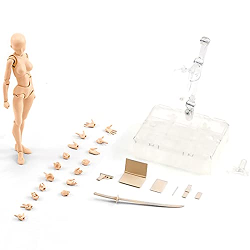 Tyinerc Zeichenmodell für Action-Figuren, Skizzen-Set, Skizzen-Set, Künstlerdekoration, mit Basisständer Tyinerc Zeichenmodell für Action-Figuren, Skizzen-Set, Skizzen-Set, Künstlerdekoration, mit Basisständer von Tyinerc