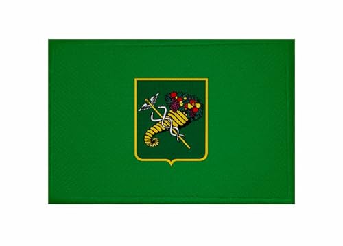 U24 Aufnäher Charkiw Charkow (Ukraine) Fahne Flagge Aufbügler Patch 9 x 6 cm von U24