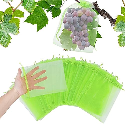 Traubenschutzbeutel, 20 Stück Weintrauben Schutzbeutel, Organzasäckchen mit Zugband 20x30cm, Obst Schutzbeutel vor Wespenfrass Vögel Kirschessigfliege und Andere Insekten Traubenschutzbeutel, 20 Stück Weintrauben Schutzbeutel, Organzasäckchen mit Zugband 20x30cm, Obst Schutzbeutel vor Wespenfrass Vögel Kirschessigfliege und Andere Insekten von UAMLVCN