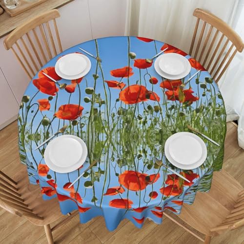 UENFFKDAP Runde Tischdecke mit Mohnblumen auf blauem Hintergrund, wasserdicht, waschbar und wiederverwendbar, für Restaurants, Partys, drinnen und draußen, 152 cm von UENFFKDAP