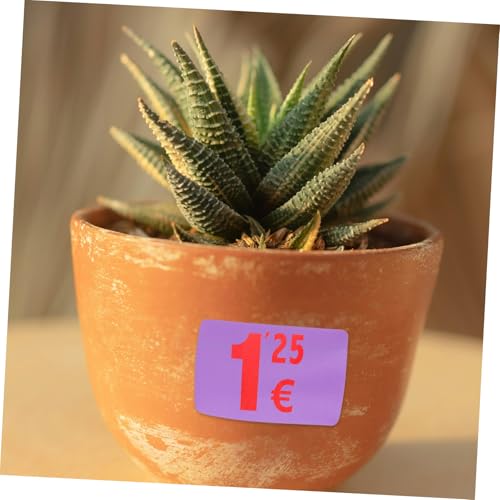 UKCOCO Farbiges Mattes Selbstklebendes Thermoetikettenpapier Wasser und Schmutzbeständig Beschriftbar Bedruckbar für Adress Flaschen und Pflanzenetiketten UKCOCO Farbiges Mattes Selbstklebendes Thermoetikettenpapier Wasser und Schmutzbeständig Beschriftbar Bedruckbar für Adress Flaschen und Pflanzenetiketten von UKCOCO