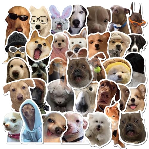 50pcs Hund Animal Sticker Für Notebook Journal Water Bottle Laptop Skateboard Scrapbook Kinder Motivationsaufkleber 50pcs Hund Animal Sticker Für Notebook Journal Water Bottle Laptop Skateboard Scrapbook Kinder Motivationsaufkleber von ULIJTH