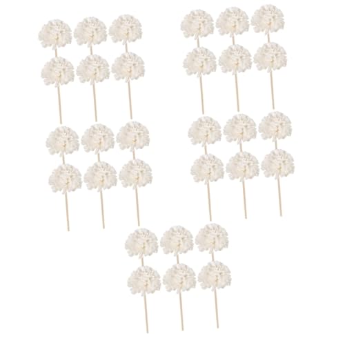 ULTECHNOVO 5 Sätze Aromatherapie Duftstäbchen Aus Rattan Duftdiffusorstäbchen Duftblumen Diffusor Blumen Gelockte Diffusorstäbchen Düfte Duftöl Diffusoren Für Zuhause 6 Stücke * 5 ULTECHNOVO 5 Sätze Aromatherapie Duftstäbchen Aus Rattan Duftdiffusorstäbchen Duftblumen Diffusor Blumen Gelockte Diffusorstäbchen Düfte Duftöl Diffusoren Für Zuhause 6 Stücke * 5 von ULTECHNOVO