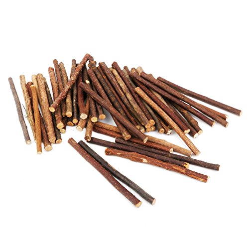 ultnice Holz Log Sticks Ast natürlichem Holz Sticks für DIY Handwerk Foto Requisiten 5–8 mm in Durchmesser 100 Stück von ULTNICE