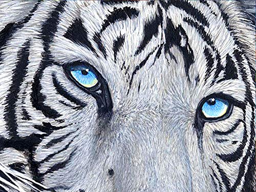 Showker 5D Diamant Painting BilderTiger Tiere, DIY Diamond Painting Bilder Zubehör Runde Diamond Kreuzstich Stickerei Dekoration Schlafzimmer Büro Home Wandbild 30x40cm Showker 5D Diamant Painting BilderTiger Tiere, DIY Diamond Painting Bilder Zubehör Runde Diamond Kreuzstich Stickerei Dekoration Schlafzimmer Büro Home Wandbild 30x40cm von UNGROL