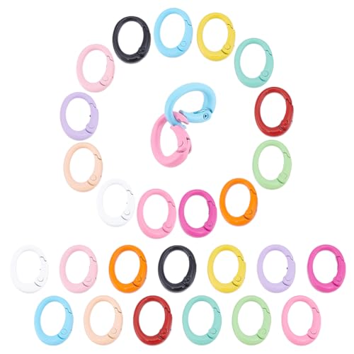 UNICRAFTALE 26 Stück 13 Farben Metallfeder O Ringe Torring Ovale Schlüsselanhänger Schnallen Torringe 19.5mm Clip Schnappfeder Für Die Schmuckherstellung Taschen Geldbörsen Schlüsselanhänger von UNICRAFTALE