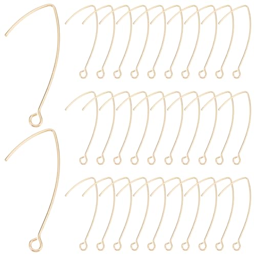UNICRAFTALE 40 Stück 18 Karat Vergoldete U Förmige Ohrringhaken Goldener Ohrdraht Angelhaken Baumelnde Ohrringbeschläge Ohrringhaken Zubehör Für DIY Schmuck Ohrringherstellungsbeschläge von UNICRAFTALE