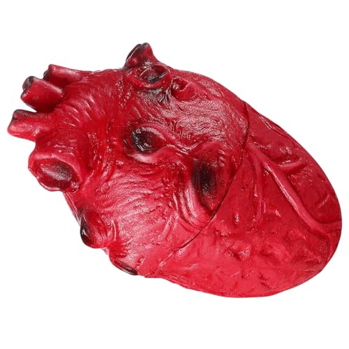 Menschliches Herz Dekoration für Halloween Event Realistisch erschreckend Modell Ornament Spukhaus Zubehör Schreckliche Herzsimulation Menschliches Herz Dekoration für Halloween Event Realistisch erschreckend Modell Ornament Spukhaus Zubehör Schreckliche Herzsimulation von UNTERING