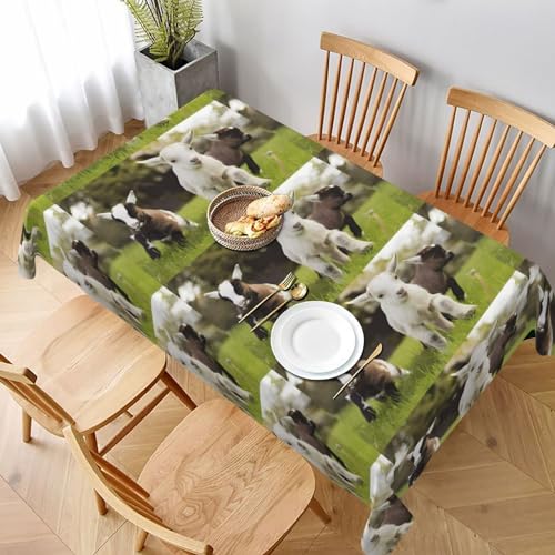 UPIKIT Tischdecke, Motiv: niedliche Ziege, waschbar, wiederverwendbar, rechteckig, für drinnen und draußen, Restaurant, Küche, Hochzeit, Party, 152 x 228 cm UPIKIT Tischdecke, Motiv: niedliche Ziege, waschbar, wiederverwendbar, rechteckig, für drinnen und draußen, Restaurant, Küche, Hochzeit, Party, 152 x 228 cm von UPIKIT
