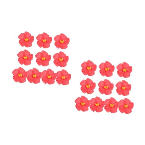 UPKOCH 2 Sätze Künstliche Hibiskusblüte Hawaiianische Hibiskusblüte Desktop-hibiskusblüte Gefälschte Hibiskusblüte Künstliche Dekoration Rot Eva 20 Stück * 2 UPKOCH 2 Sätze Künstliche Hibiskusblüte Hawaiianische Hibiskusblüte Desktop-hibiskusblüte Gefälschte Hibiskusblüte Künstliche Dekoration Rot Eva 20 Stück * 2 von UPKOCH