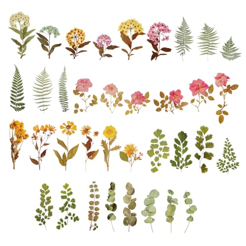 UPKOCH 6 Packungen Pflanzentaschenaufkleber erweiterbare Schubladen im Freien liefert Dekoration Scrapbook Stickers Scrapbooking Sticker Scrapbook-Aufkleber Blumenaufkleber das Haustier UPKOCH 6 Packungen Pflanzentaschenaufkleber erweiterbare Schubladen im Freien liefert Dekoration Scrapbook Stickers Scrapbooking Sticker Scrapbook-Aufkleber Blumenaufkleber das Haustier von UPKOCH