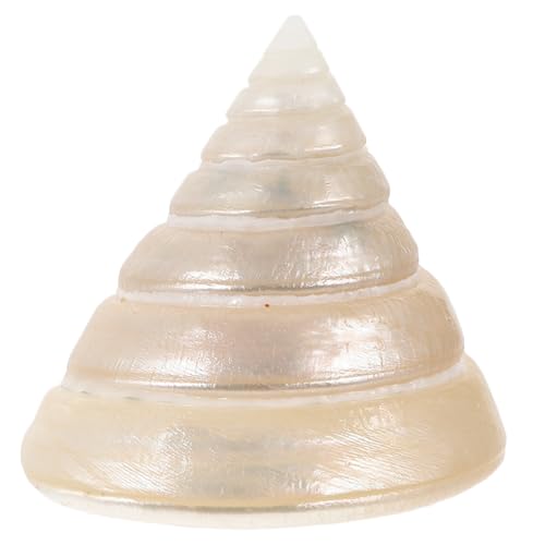 UPKOCH Leuchtende Conch Dekoration für Fischtank und Desktop Glänzende Muschelfigur für und Bürodekoration Handgefertigt Entspannendes Bitte Überprüfen Sie Übereinstimmung mit Ihren UPKOCH Leuchtende Conch Dekoration für Fischtank und Desktop Glänzende Muschelfigur für und Bürodekoration Handgefertigt Entspannendes Bitte Überprüfen Sie Übereinstimmung mit Ihren von UPKOCH