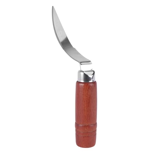 UPKOCH kokosnussfleisch entfernung messer reibe slicer edelstahl kokosnussfleisch schaber fischhaut schuppen schaber entferner für küche UPKOCH kokosnussfleisch entfernung messer reibe slicer edelstahl kokosnussfleisch schaber fischhaut schuppen schaber entferner für küche von UPKOCH