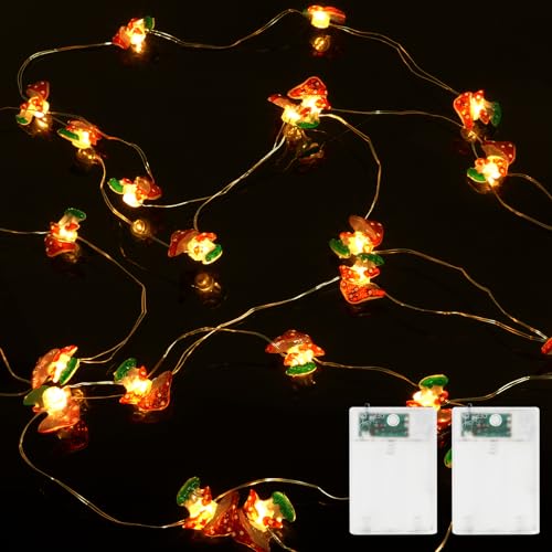 URAQT Pilz Lichterkette, 2 Stück Lichterketten für Außen & Innen, 3M, 30 LED Glühbirnen 2 Leuchtmode, für Weihnachten, Halloween, Hochzeit, Balkon, Garten, Party Hochzeit Dekoration URAQT Pilz Lichterkette, 2 Stück Lichterketten für Außen & Innen, 3M, 30 LED Glühbirnen 2 Leuchtmode, für Weihnachten, Halloween, Hochzeit, Balkon, Garten, Party Hochzeit Dekoration von URAQT