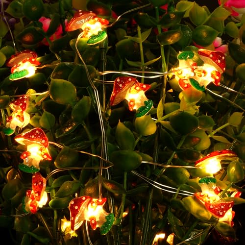 URAQT Pilz Lichterkette, Lichterketten für Außen & Innen, 3M, 30 LED Glühbirnen 2 Leuchtmode, für Weihnachten, Halloween, Hochzeit, Balkon, Garten, Party Hochzeit Dekoration URAQT Pilz Lichterkette, Lichterketten für Außen & Innen, 3M, 30 LED Glühbirnen 2 Leuchtmode, für Weihnachten, Halloween, Hochzeit, Balkon, Garten, Party Hochzeit Dekoration von URAQT