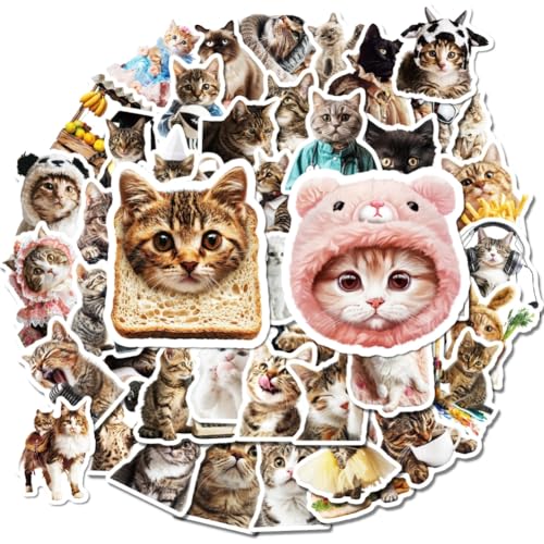 50 Stück Niedliche Katzen Aufkleber, Tier Sticker Wasserflaschen Kawaii Stickers Wasserfeste Aufkleber ästhetische Stickers Karikatur Katze Aufkleber für Scrapbooking Laptop Gepäck Skateboard 50 Stück Niedliche Katzen Aufkleber, Tier Sticker Wasserflaschen Kawaii Stickers Wasserfeste Aufkleber ästhetische Stickers Karikatur Katze Aufkleber für Scrapbooking Laptop Gepäck Skateboard von URFDCAD