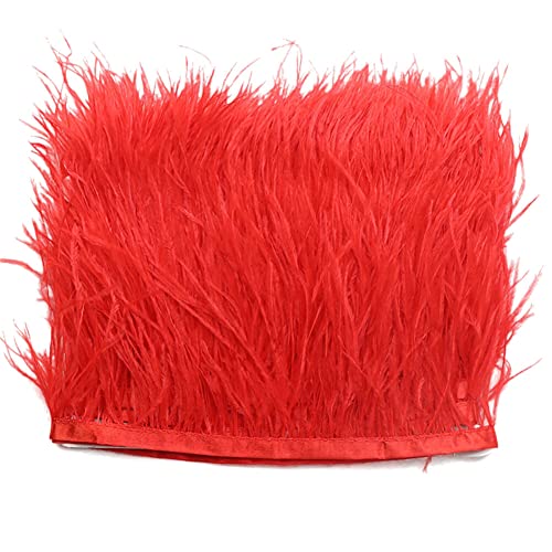 2 Meter Federborte mit Fransen,Straußenfedern Borte Quasten Federn zum Basteln Fransenborte DIY natürliche flauschige Feder Band für Kleid Rock Zubehör DIY Kostüm Nähen Handwerk,Kleidung Dekoration 2 Meter Federborte mit Fransen,Straußenfedern Borte Quasten Federn zum Basteln Fransenborte DIY natürliche flauschige Feder Band für Kleid Rock Zubehör DIY Kostüm Nähen Handwerk,Kleidung Dekoration von URFEDA