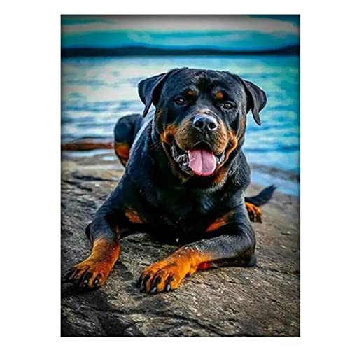 USCMM Full Display Square Round Tier Hund Rottweiler 5D DIY Diamond Painting Set Diamant Stickerei Mosaik Kreuzstich Haustier für Baby-12x16in(30x40cm) von USCMM