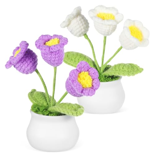 UTHCLO 2 Stück Maiglöckchen-Blumenornamente auto dekoration wohnaccessoires Häkelblume simuliertes Blumendekor gehäkelt Büro drinnen gewebtes Bonsai-Ornament handgeflochtener Bonsai Garn UTHCLO 2 Stück Maiglöckchen-Blumenornamente auto dekoration wohnaccessoires Häkelblume simuliertes Blumendekor gehäkelt Büro drinnen gewebtes Bonsai-Ornament handgeflochtener Bonsai Garn von UTHCLO