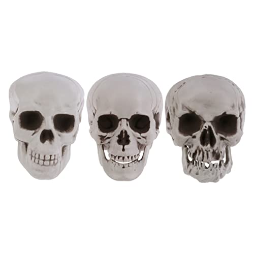 UTHCLO 3 Stück Teiliges Halloween Schädel Modell Realistische Deko Schädel für Gruselige Partys Haunted House Escape Dekorationen Tischdekoration Zubehör UTHCLO 3 Stück Teiliges Halloween Schädel Modell Realistische Deko Schädel für Gruselige Partys Haunted House Escape Dekorationen Tischdekoration Zubehör von UTHCLO