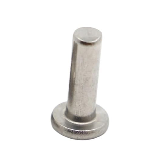 UZAMIRLEX Massive Nietenschrauben, 304 Edelstahl Flachrundkopf Selbstverschließende Nieten M2-M6 3-40mm 145-teilige Packung(16mm,M2.5) von UZAMIRLEX