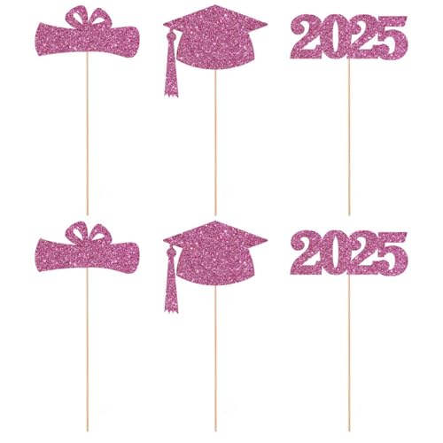 6 Stück PhD Cap Floral Bouquet Topper, Vaseneinsätze & Hintergrund Schild, 2025 Abschlussdekorationsset für Abschlussfeier, Zeremonie, Tischdekoration von Uclac